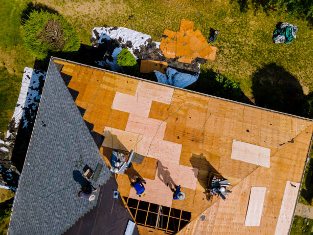 Best Storm Damage Roof Repair  in Gman, IL